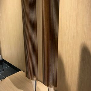 Bang & Olufsen Beolab 18 with Oak Covers